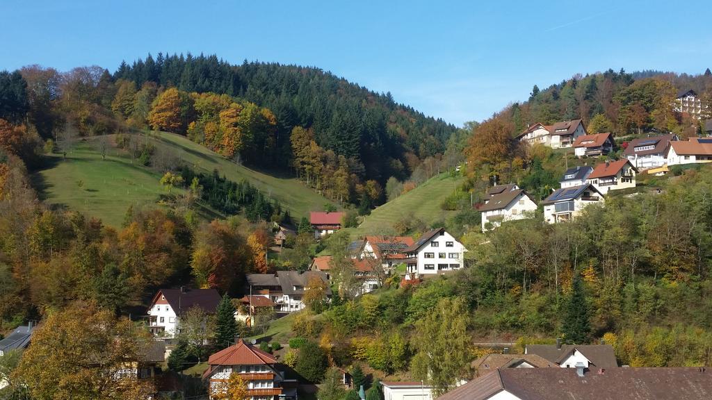 Ferienhotel Faisst Bad Peterstal-Griesbach Ngoại thất bức ảnh